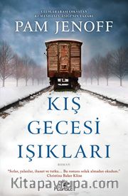 Kış Gecesi Işıkları