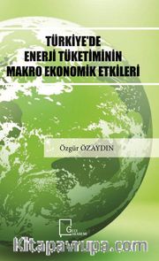 Türkiye’de Enerji Tüketiminin Makro Ekonomik Etkileri