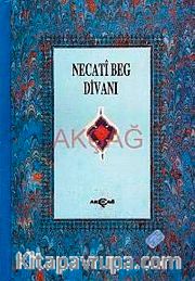 Necatibey Divanı (1.hm)