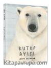Kutup Ayısı