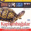 Kaplumbağalar (VCD)