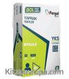 AYT Biyoloji Kutu Testi (88 Test)