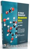 Metabolizma Atlası & Bir Bakışta Metabolizma