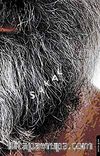 Sakal