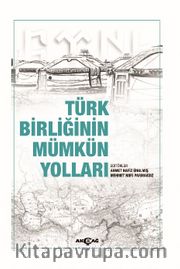 Türk Birliğinin Mümkün Yolları