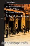 Bir Küçükburjuvanın Gençlik Yılları - Bir Uzun Sonbahar - Bir Yaz Mevsimi Romanı