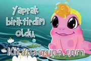 Yaprak Biriktirdim Oldu