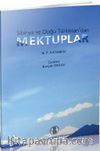 Sibirya ve Doğu Türkistan'dan Mektuplar