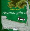 Akarsu Gibi Ol