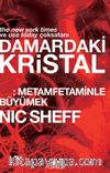 Damardaki Kristal: Metamfetaminle Büyümek