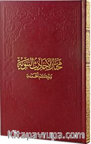 Muhtarul-Ehadisin-Nebeviyye 