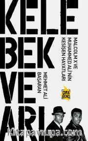Kelebek ve Arı