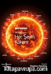 Neredeyse Her Şeyin Kökeni