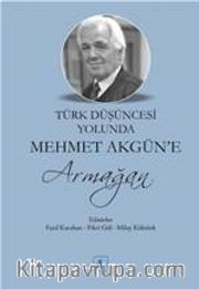 Türk Düşüncesi Yolunda Mehmet Akgün’e Armağan