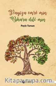 Payiza Emre Min Bihara Dile Min