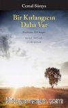 Bir Kırlangıcın Daha Var