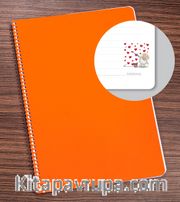Bookinzi Okul Defteri -  80gr 70 yaprak A4 Spiralli - Koyunlu Defter