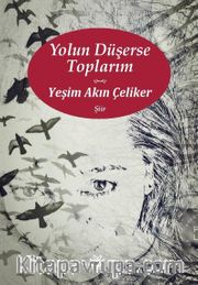 Yolun Düşerse Toplarım