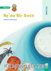 Ay'da Bir Gece
