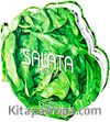 Salata / 50 Pratik Tarif