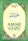 Amme Cüzü Bilgisayar Hatlı