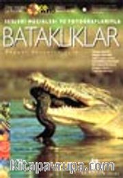 Şarkı Söyleyen Bataklıklar - CD Kitap