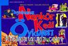 Nankör Kedi Öyküleri