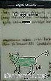 Cangüncem 1984-1993