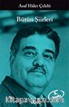 Bütün Şiirleri / Asaf Halet Çelebi