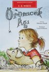 Örümcek Ağı