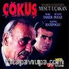 Çöküş (VCD)