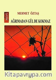 Ağrımadan Gül De Kokmaz