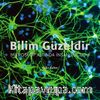 Bilim Güzeldir - Mikroskop Altında İnsan Vücudu