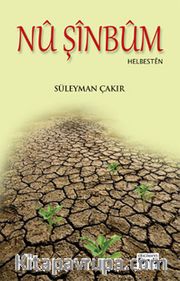 Nu Şinbum