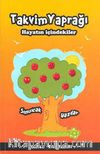 Takvim Yaprağı & Hayatın İçindekiler - Sımsıcak Yazılar