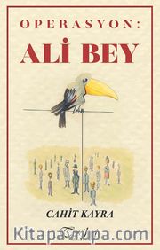 Operasyon: Ali Bey
