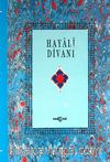 Hayali Divanı (1.hm)