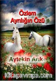 Özlem Ayrılığın Özü