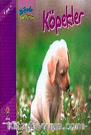 Köpekler / Bir Zamanlar Korkardım