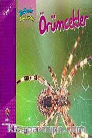 Örümcekler / Bir Zamanlar Korkardım