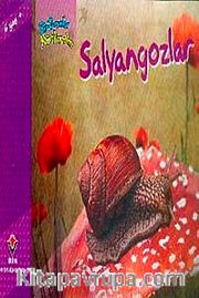 Salyangozlar / Bir Zamanlar Korkardım