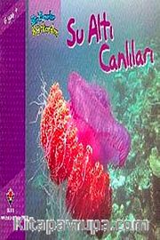 Su Altı Canlıları / Bir Zamanlar Korkardım