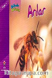 Arılar / Bir Zamanlar Korkardım