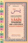 Yasin Tebareke Amme ve Dualar (Gülbahçesi-3)