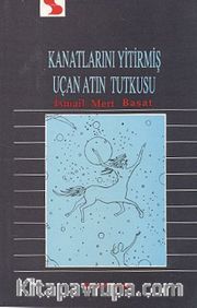 Kanatlarını Yitirmiş Uçan Atın Tutkusu