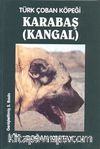 Türk Çoban Köpeği Karabaş (Kangal)