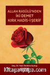 Allah Rasulü'nden İki Demet Kırk Hadisi 