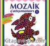 Mozaik Çalışmaları 1
