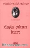 Dağa Çıkan Kurt