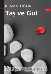 Taş ve Gül